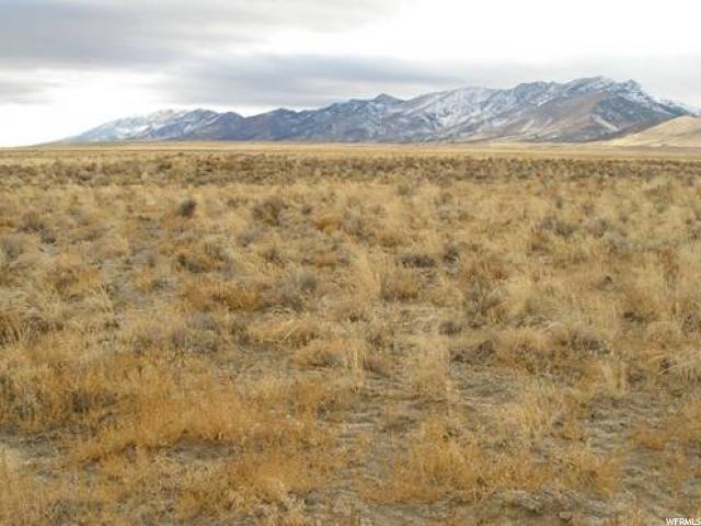 40 acre property pix 1