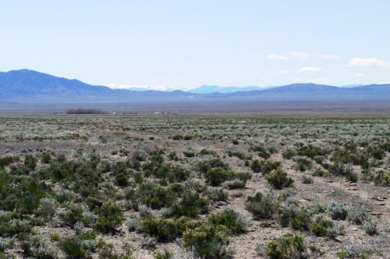 40 acre property pix 2 768x510