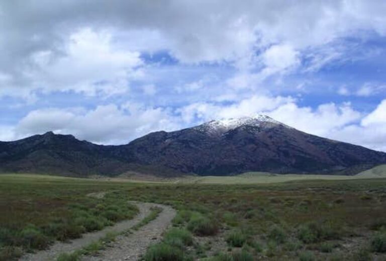 40 acre property view of Bald Egle Mtn 1 768x519